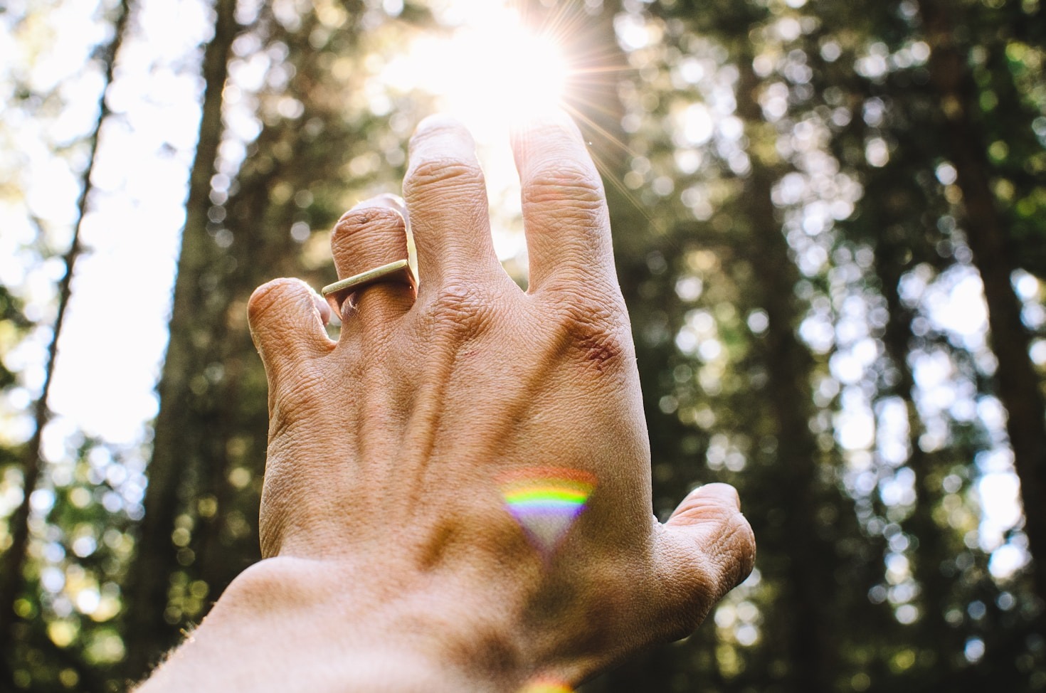Kinesiology: Unlocking Your Body’s Potential